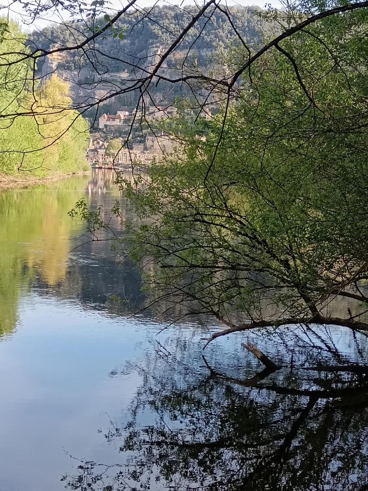 Gite Chez Pierrot - La Vallee Des Chateaux La Roque-Gageac Buitenkant foto