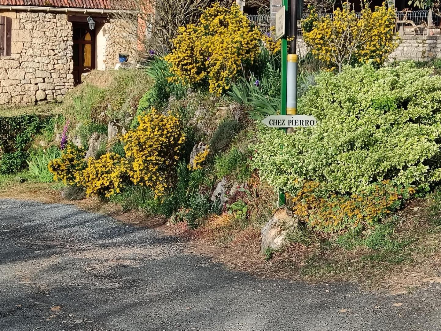Gite Chez Pierrot - La Vallee Des Chateaux La Roque-Gageac Buitenkant foto